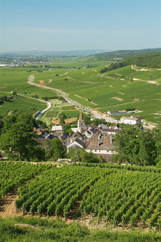 Legatis - Bourgogne