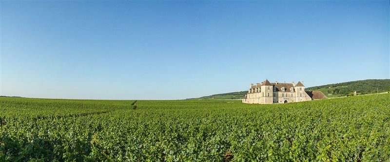 LEGATIS Notaires Vignes Bourgogne