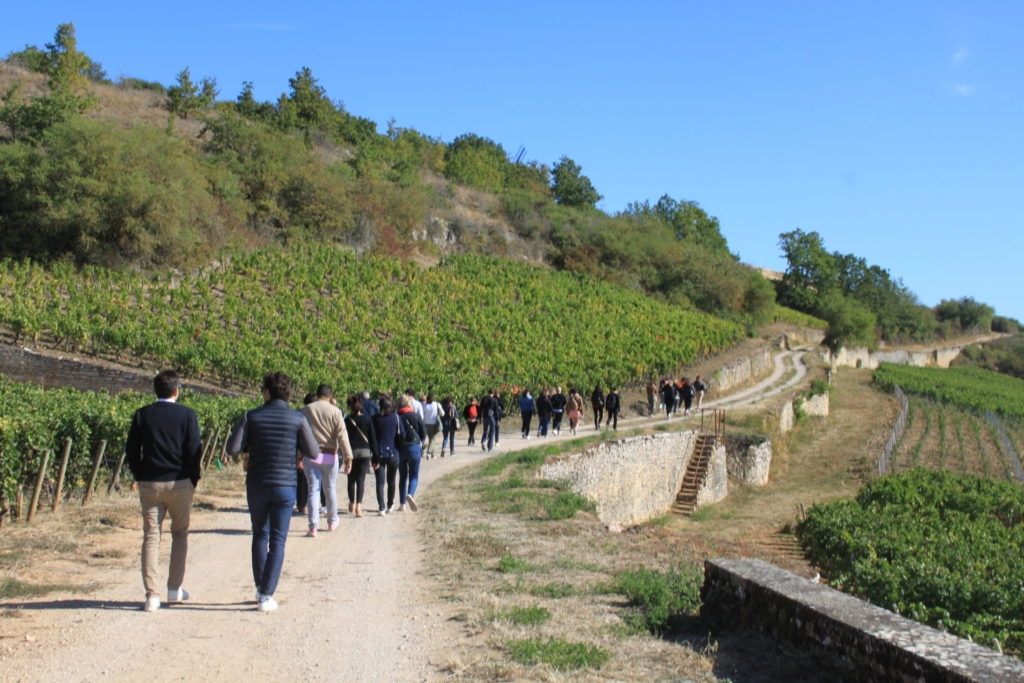 LEGATIS Notaires Teambuilding