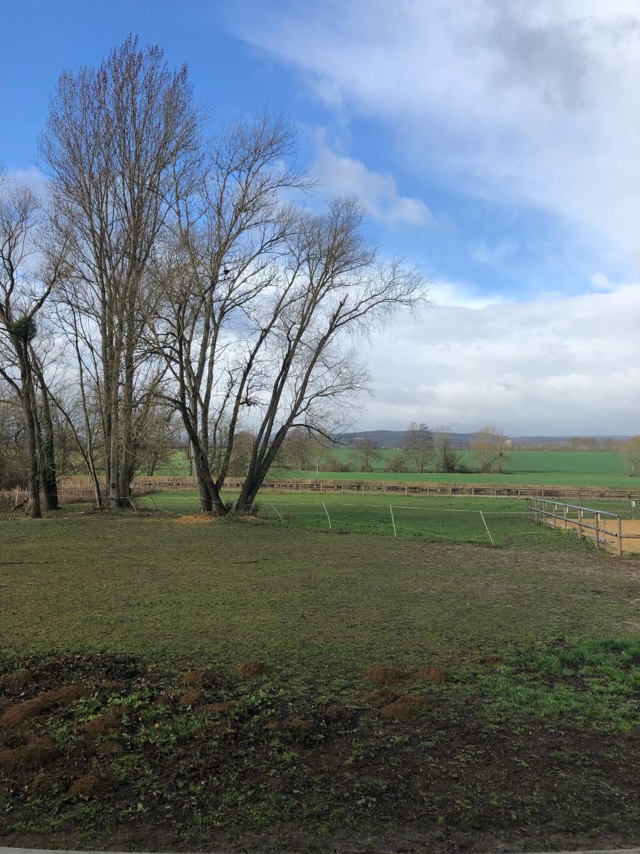 terrain - 4037 m² - Fontaines