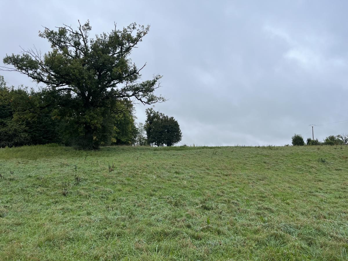 Terrain