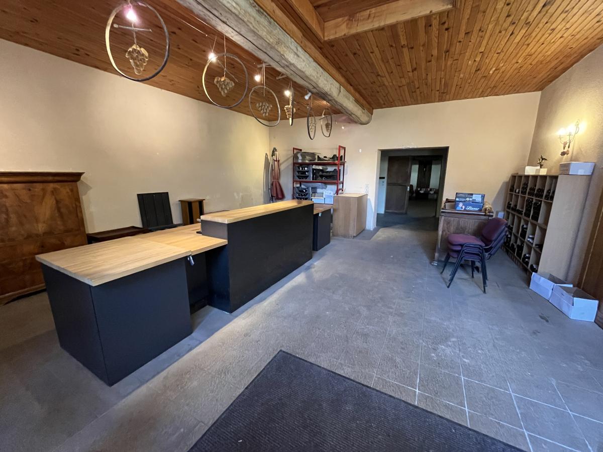 maison - 870 m² - Beaune