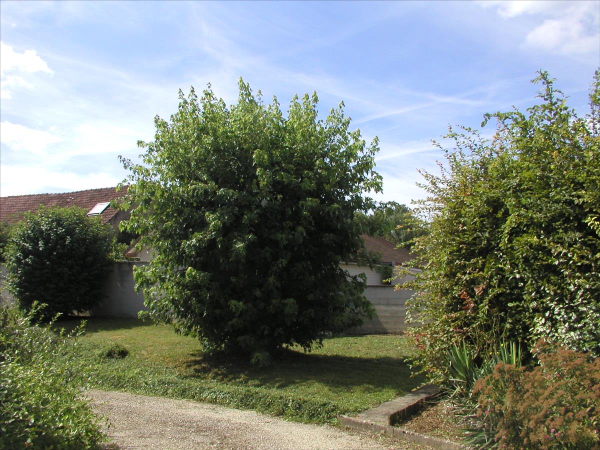 maison IZEURE TYPE VI Possibilité VIII