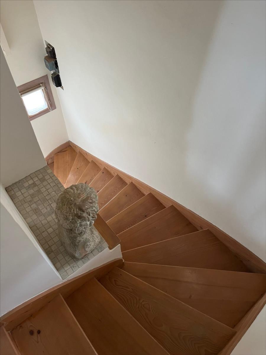 Maison sur grand terrain