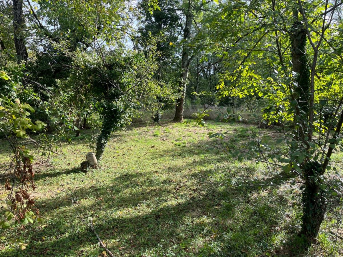 Maison sur grand terrain