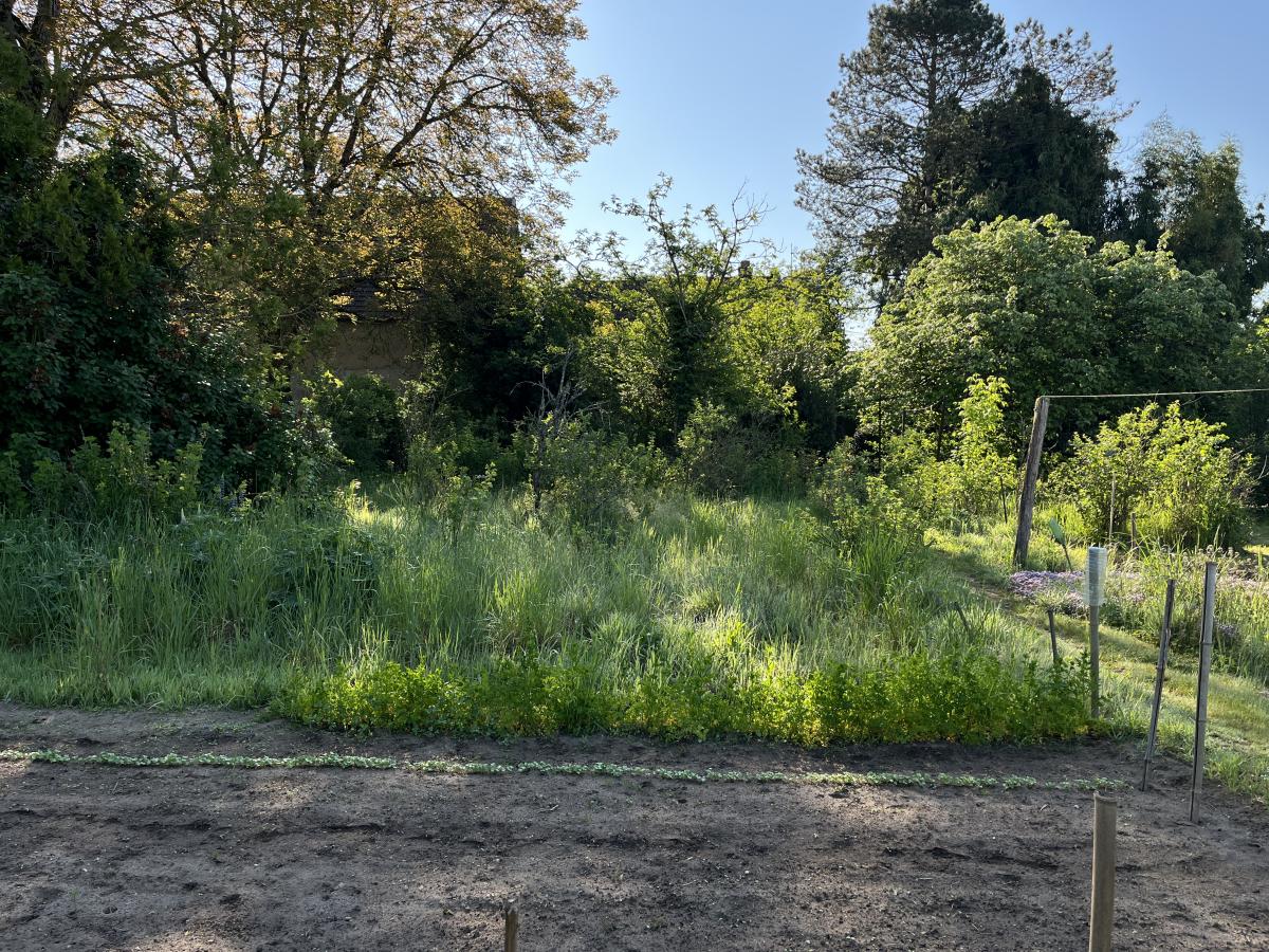 maison - 107 m² - Perrigny-sur-l'Ognon