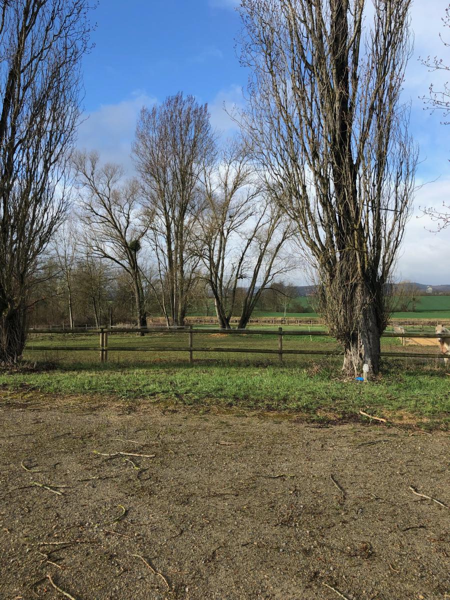 terrain - 4037 m² - Fontaines