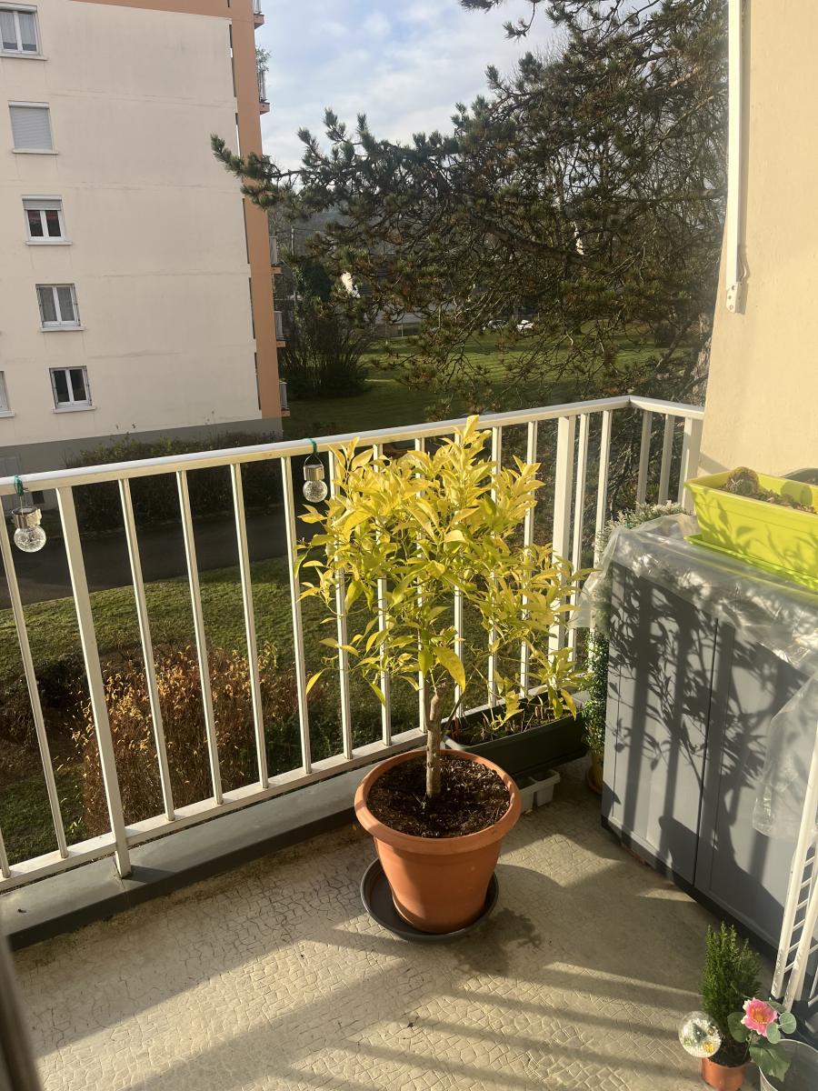 appartement - 61.2 m² - Dole