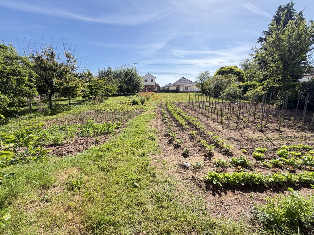 maison - 150 m² - Saint-Usage