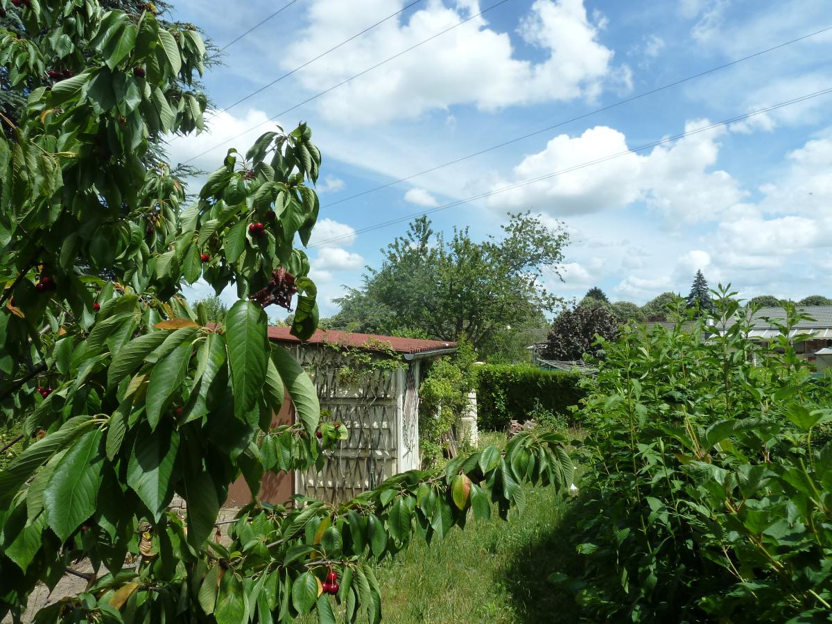 maison - 118.86 m² - Quetigny