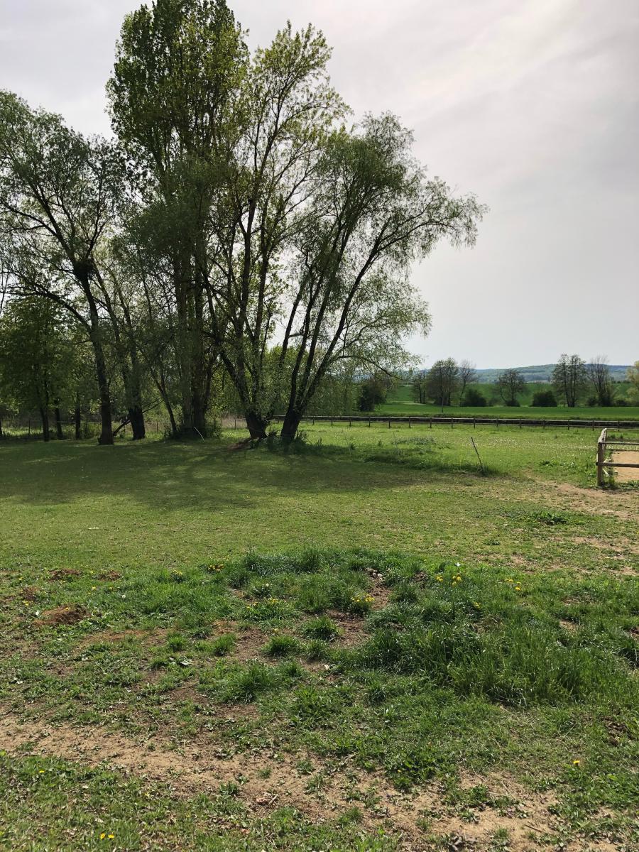 terrain - 4037 m² - Fontaines