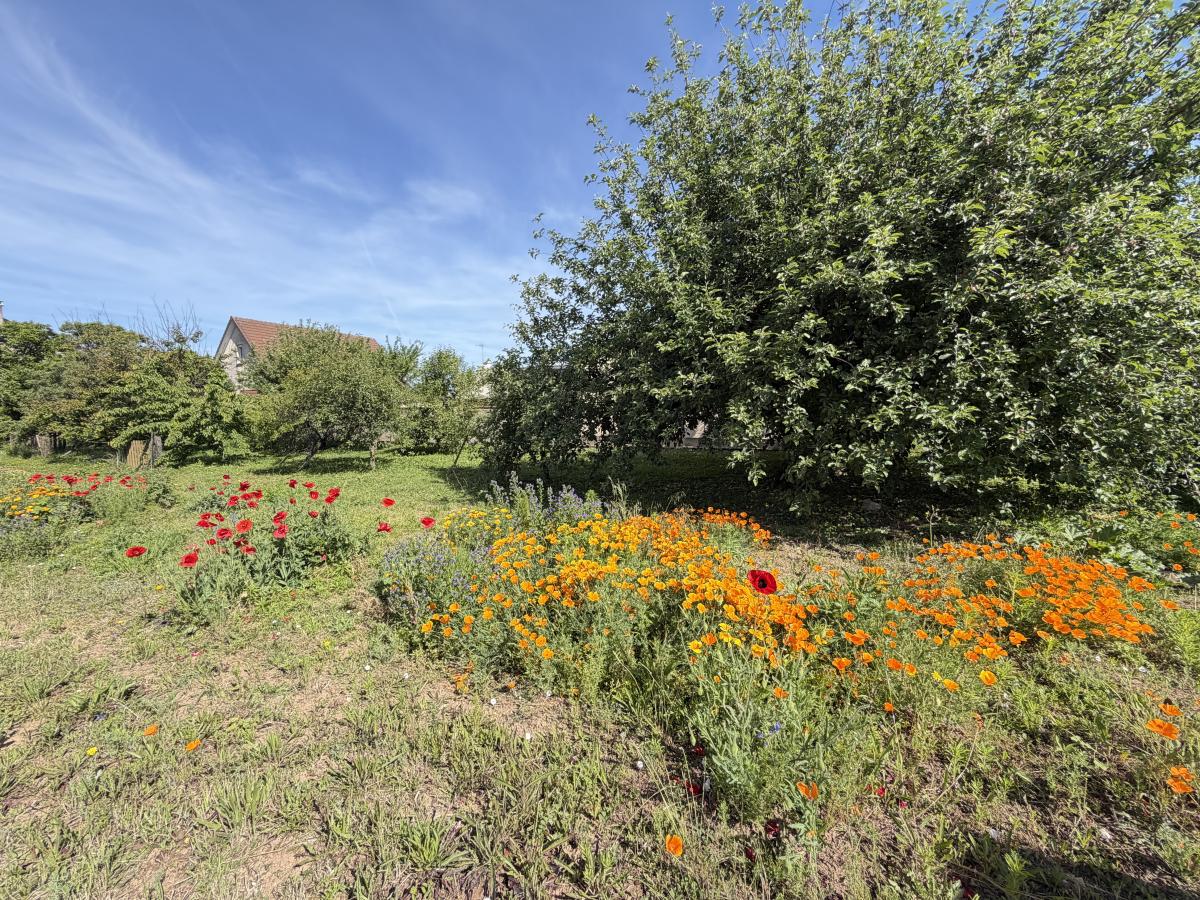 maison - 150 m² - Saint-Usage